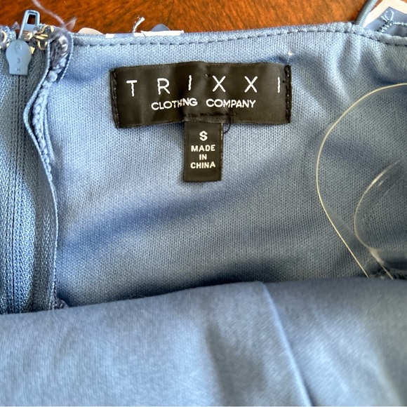 Trixxi | Mesh Organza Tulle Blue Floral Mini Dress - Picture 5 of 9